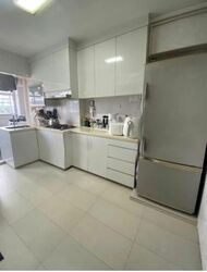 Blk 2A Boon Tiong Arcadia (Bukit Merah), HDB 4 Rooms #604294321